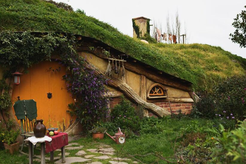 Earth home built into side of hill with grassy green roof and biomorphic shapes