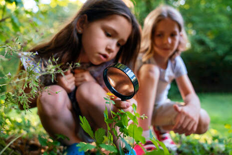 children looking at nature through magnifying glass