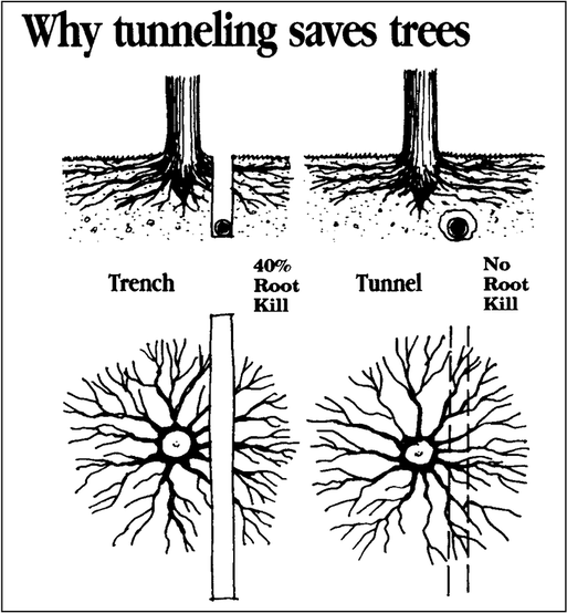 Why tunneling saves trees. Diagram of tunneling vs trenching utilities lines and how tunneling harms tree roots.