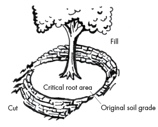 A terrace constructed around the critical root zone of a tree to maintain the original soil grade around the tree base.