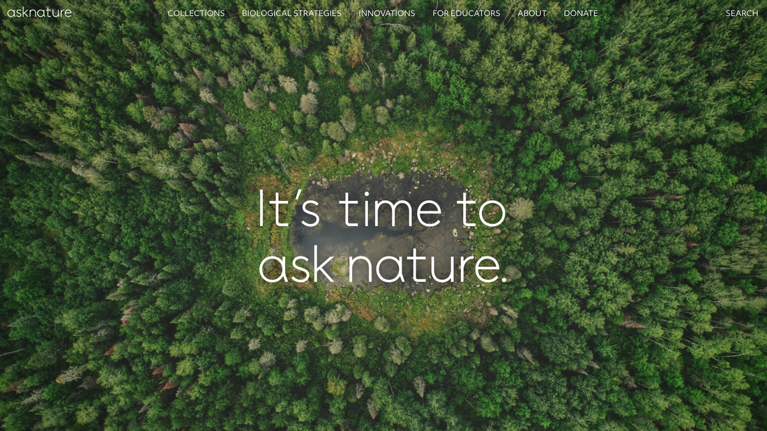 biomimicry website with database ask nature