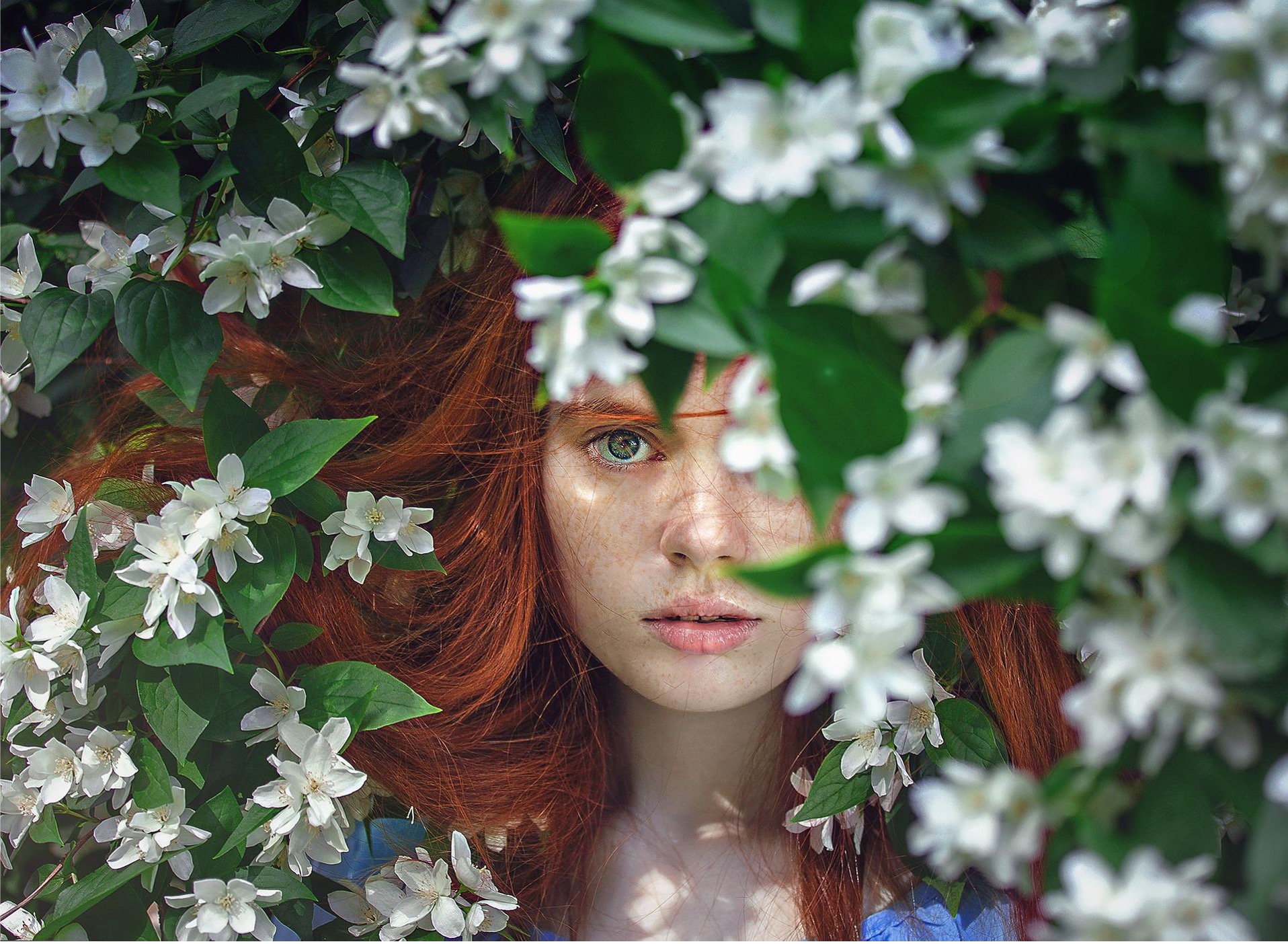 Beauty In Design