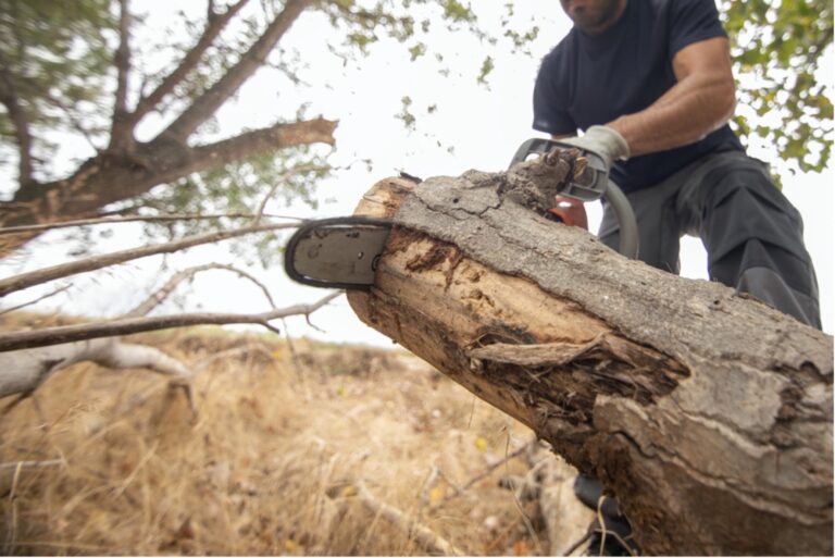 5 Hidden Costs To Avoid When Clearing Your Lot For Home Construction Pippin Home Designs5