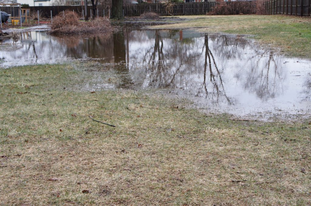 Standing pool of water in drain field of yard