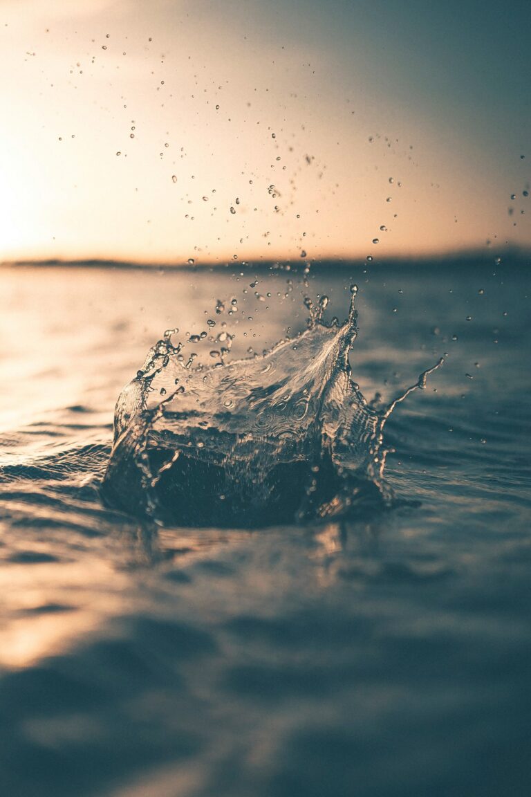 Alex Perez Wegr12n01tk Unsplash
