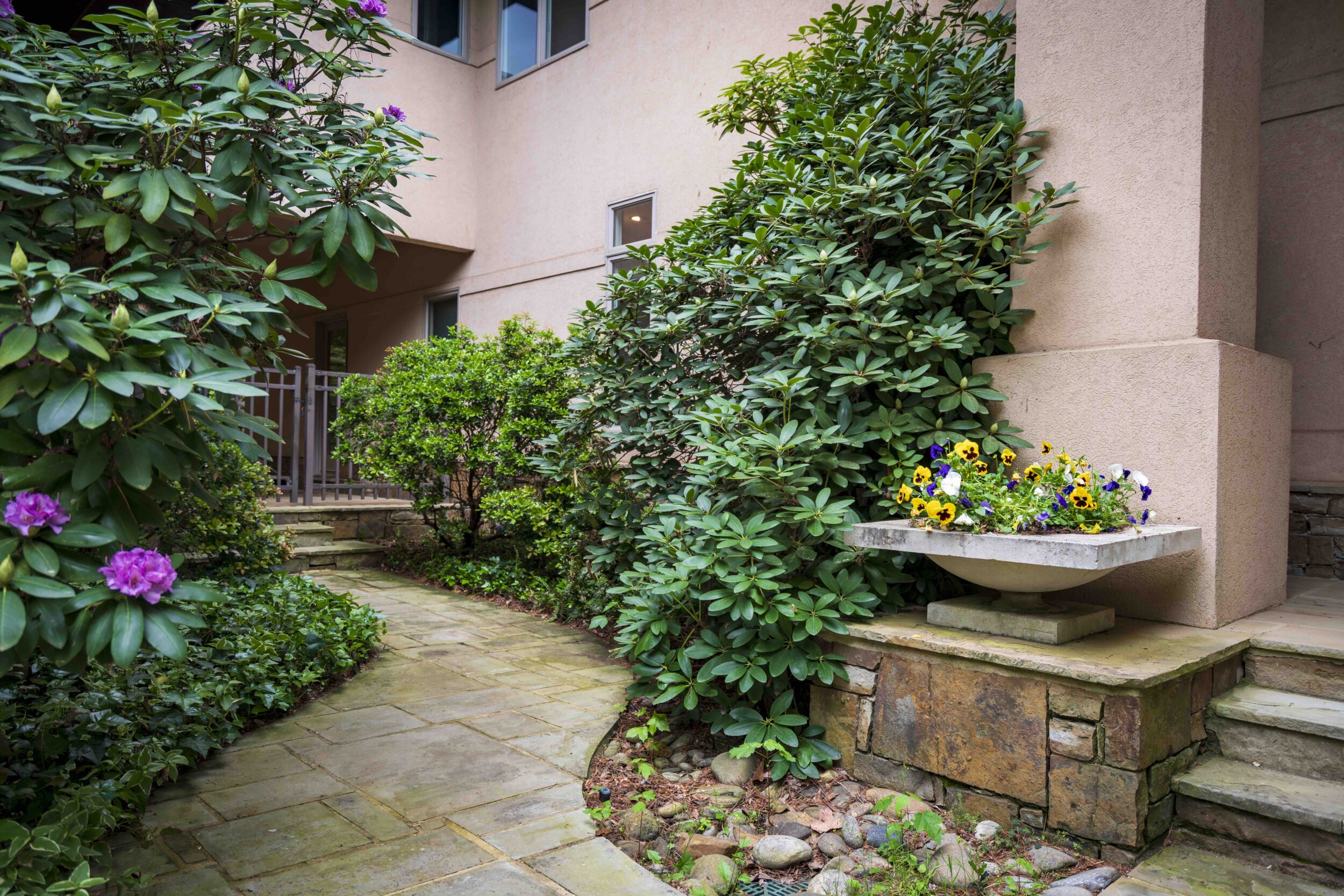 Biophilic Design