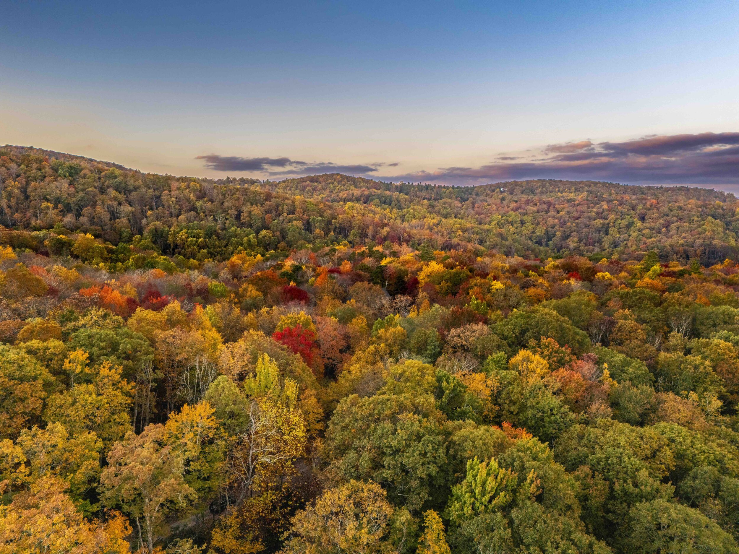 Fall foliage